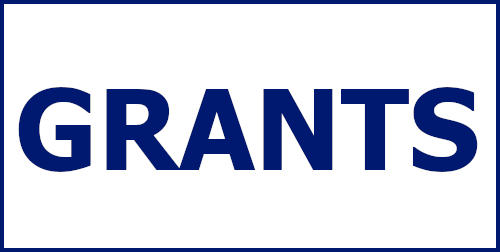 Image of the word GRANTS